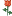 모델회원