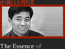 순 포토라이프